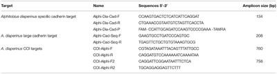 Detection of Alphitobius diaperinus by Real-Time Polymerase Chain Reaction With a Single-Copy Gene Target